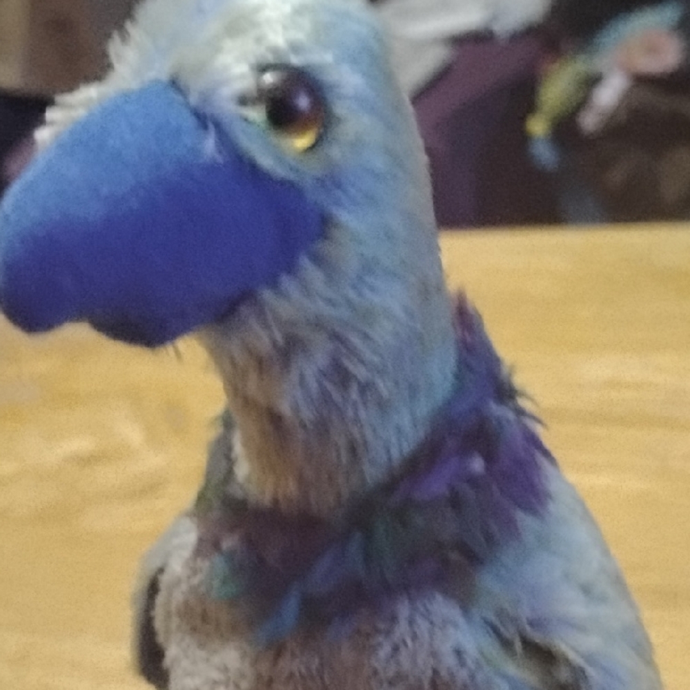 Beanie Baby Plush